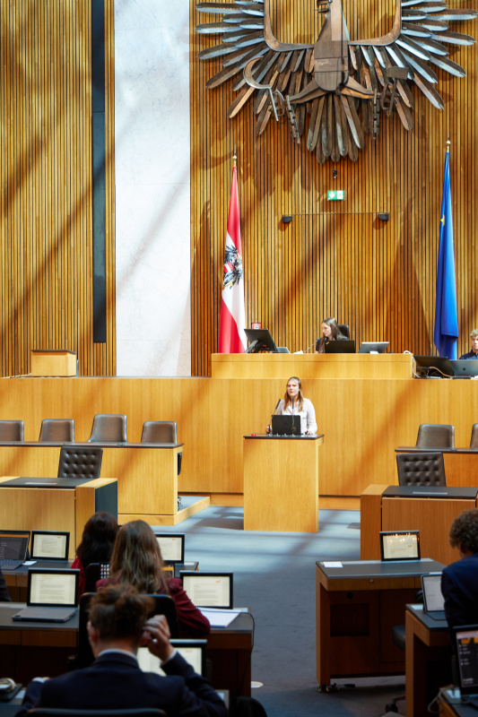 Delegierte am Redner:innenpult