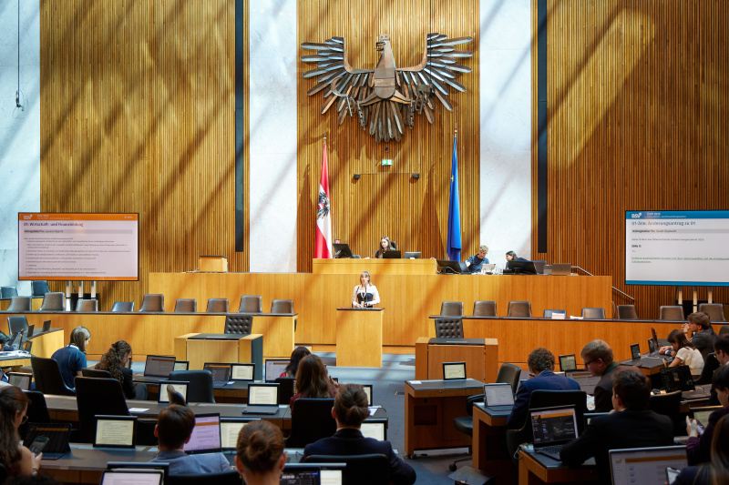 Delegierte am Redner:innenpult