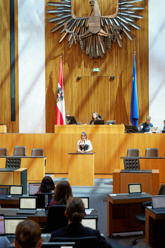 Delegierte am Redner:innenpult