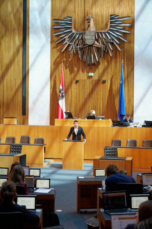 Delegierte am Redner:innenpult