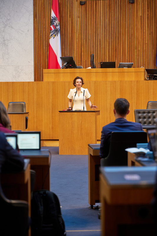 Eingangsstatements der Bereichssprecher:innen. Nationalratsabgeordnete Martina von Künsberg Sarre (NEOS)