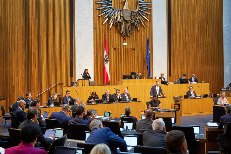 Am Redner:innenpult: Nationalratsabgeordneter Michael Schnedlitz (FPÖ)