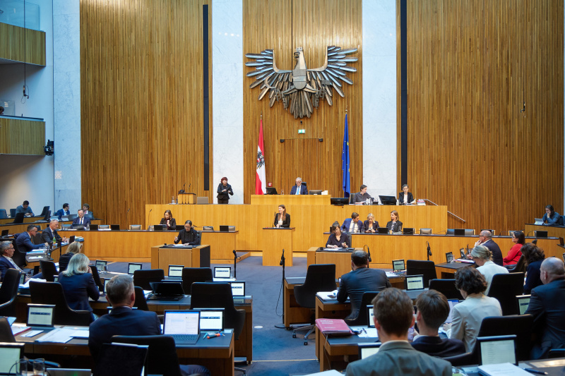 Am Redner:innenpult: Nationalratsabgeordnete Karin Doppelbauer (NEOS)