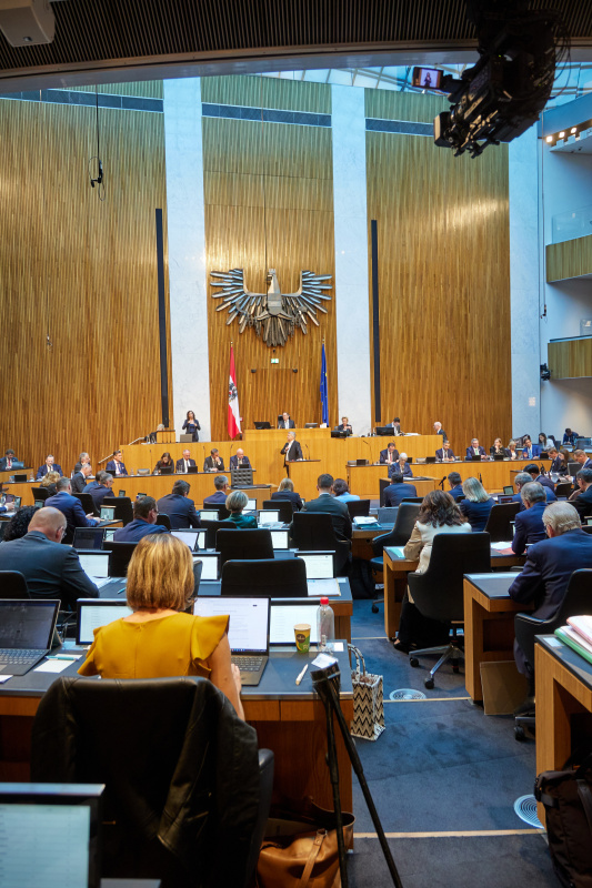 Am Redner:innenpult: Klubobmann Werner Kogler (GRÜNE)