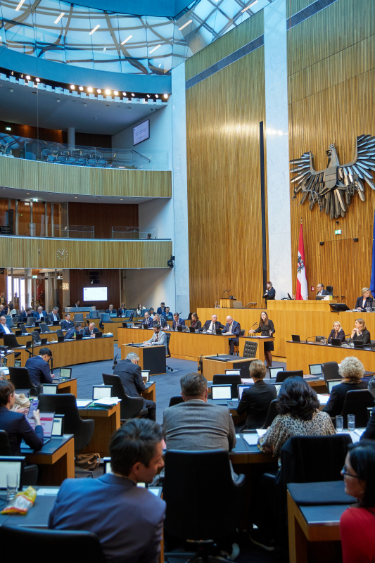 Am Redner:innenpult: Nationalratsabgeordnete Julia Elisabeth Herr (SPÖ)