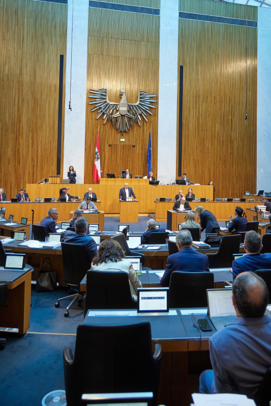 Am Redner:innenpult: Nationalratsabgeordneter Arnold Schiefer (FPÖ)