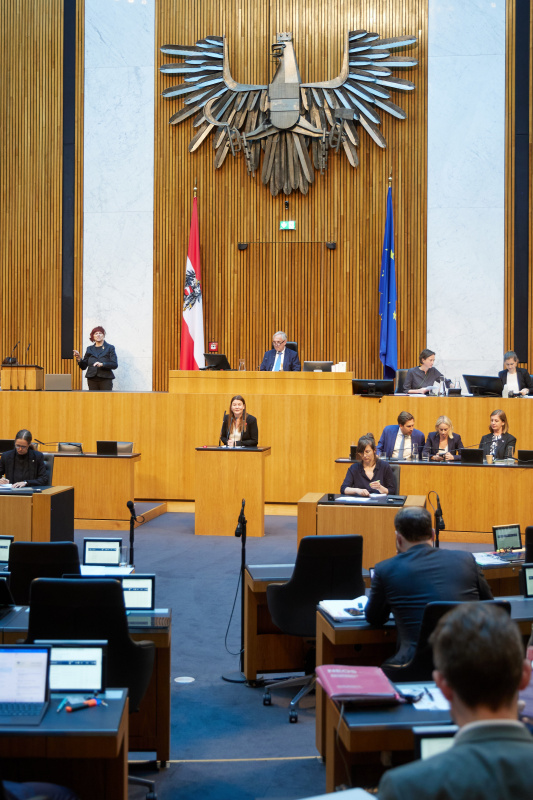 Am Redner:innenpult: Nationalratsabgeordnete Karin Doppelbauer (NEOS)