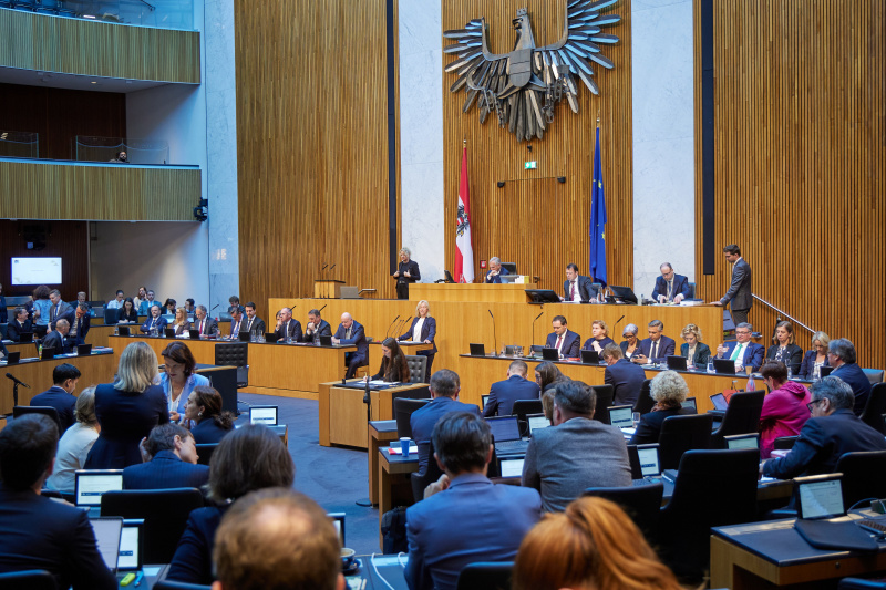 Am Redner:innenpult: Nationalratsabgeordnete Verena Nussbaum (SPÖ)