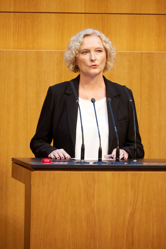 Am Redner:innenpult: Nationalratsabgeordnete Karin Greiner (SPÖ)