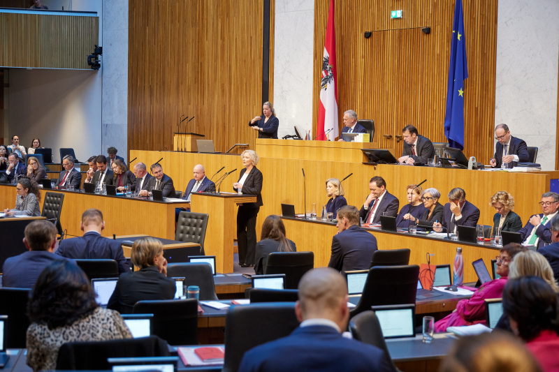 Am Redner:innenpult: Nationalratsabgeordnete Karin Greiner (SPÖ)