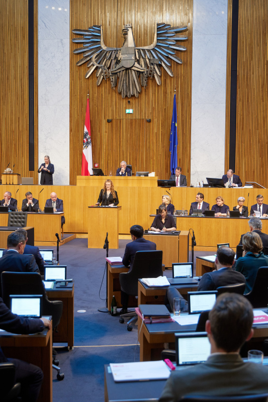 Am Redner:innenpult: Nationalratsabgeordnete Fiona Fiedler (NEOS)