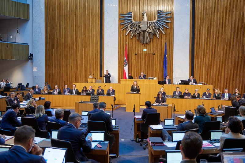 Am Redner:innenpult: Nationalratsabgeordnete Fiona Fiedler (NEOS)