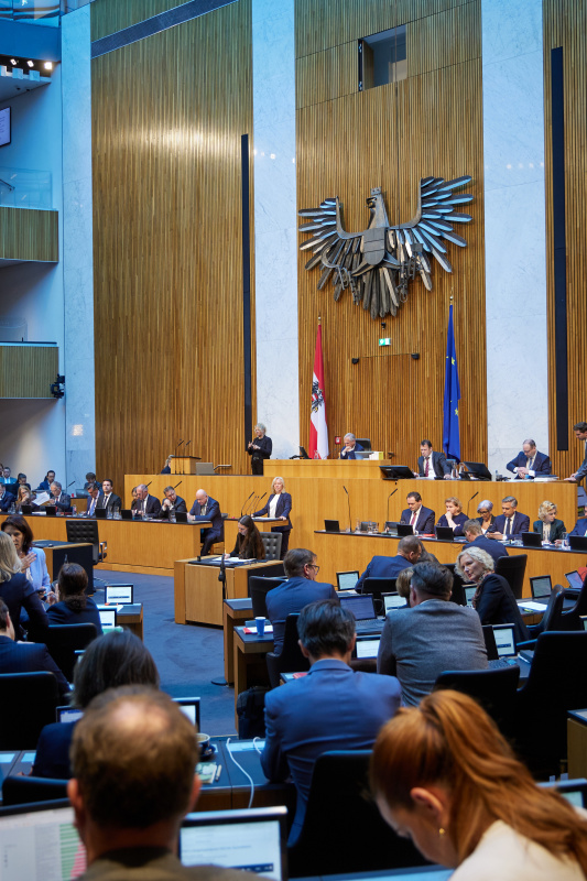 Am Redner:innenpult: Nationalratsabgeordnete Verena Nussbaum (SPÖ)