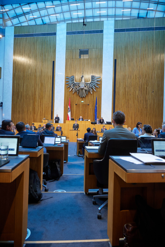 Am Redner:innenpult: Nationalratsabgeordneter Valentin Veit Dengler (NEOS)