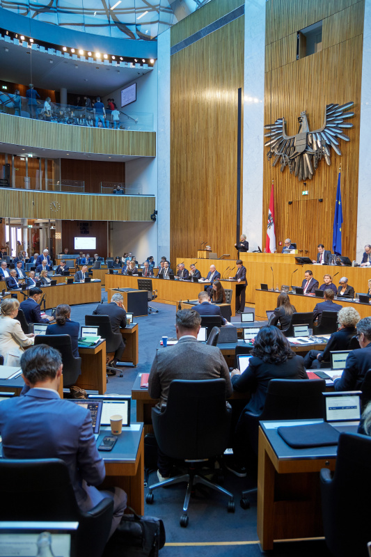 Am Redner:innenpult: Nationalratsabgeordnete Sigrid Maurer (GRÜNE)