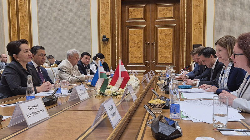 Aussprache. Rechte Tischhälfte: Österreichische Delegation unter der Leitung von Bundesratspräsidentin Andrea Eder-Gitschthaler (ÖVP) (2. von rechts). Linke Tischhälfte: Usbekischen Delegation unter der Leitung von Senatspräsidentin des usbekischen Parlaments Tanzila Narbaeva (links)