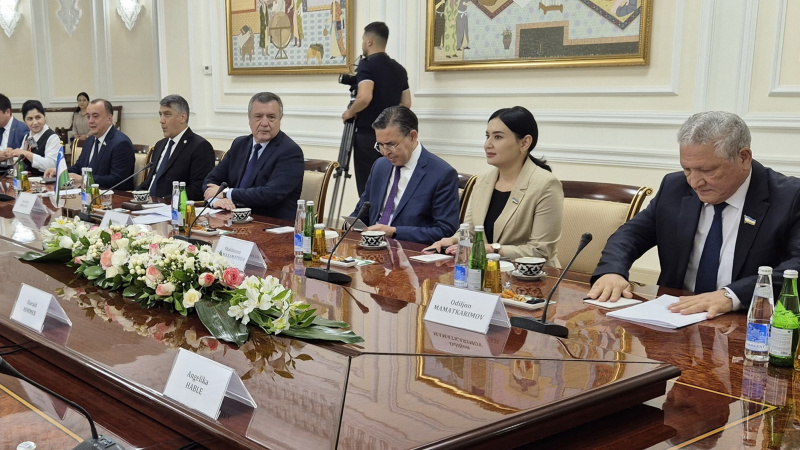 Aussprache. Usbekische Delegetaion unter der Leitung von Vorsitzendem des Unterhauses Nuriddin Ismoilov (4. von rechts)