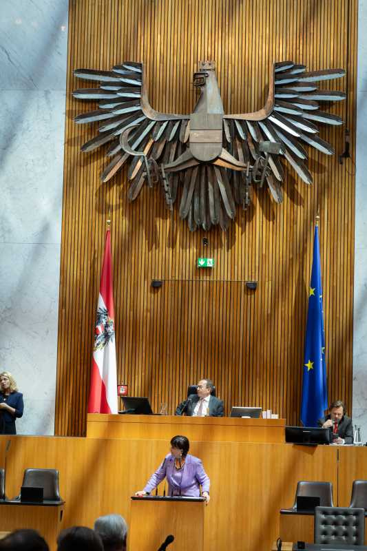 Am Redner:innenpult. Zweiter Nationalratspräsident Peter Haubner (ÖVP) am Präsidium