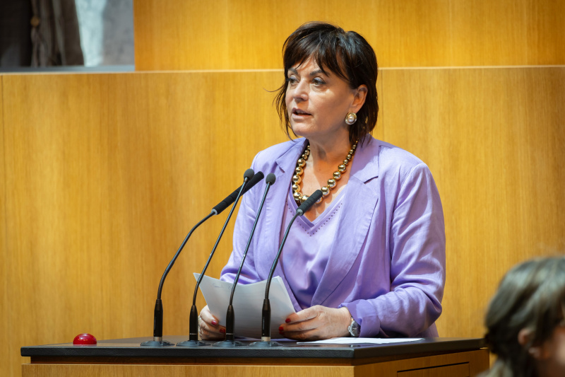 Am Redner:innenpult Nationalratsabgeordnete Petra Oberrauner (SPÖ)