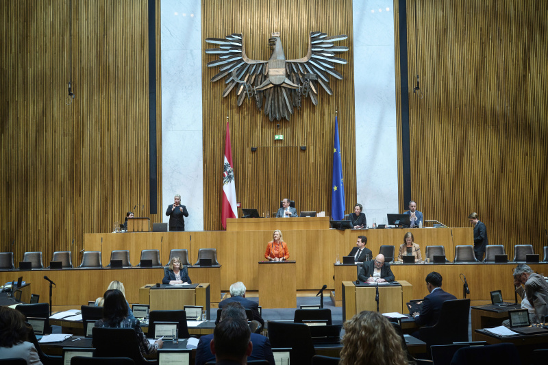 Am Redner:innenpult: Nationalratsabgeordnete Petra Tanzler (SPÖ)