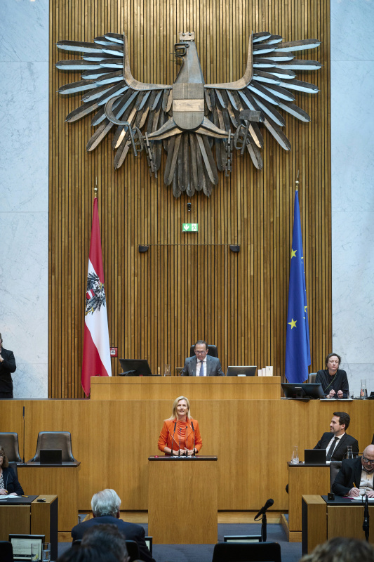 Am Redner:innenpult: Nationalratsabgeordnete Petra Tanzler (SPÖ)