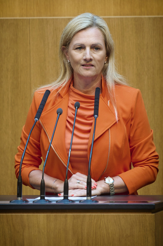 Am Redner:innenpult: Nationalratsabgeordnete Petra Tanzler (SPÖ)