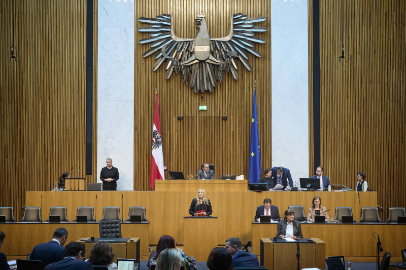 Am Redner:innenpult: Nationalratsabgeordnete Elisabeth Feichtinger (SPÖ)
