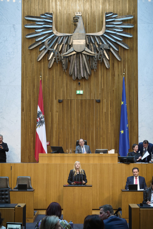 Am Redner:innenpult: Nationalratsabgeordnete Elisabeth Feichtinger (SPÖ)