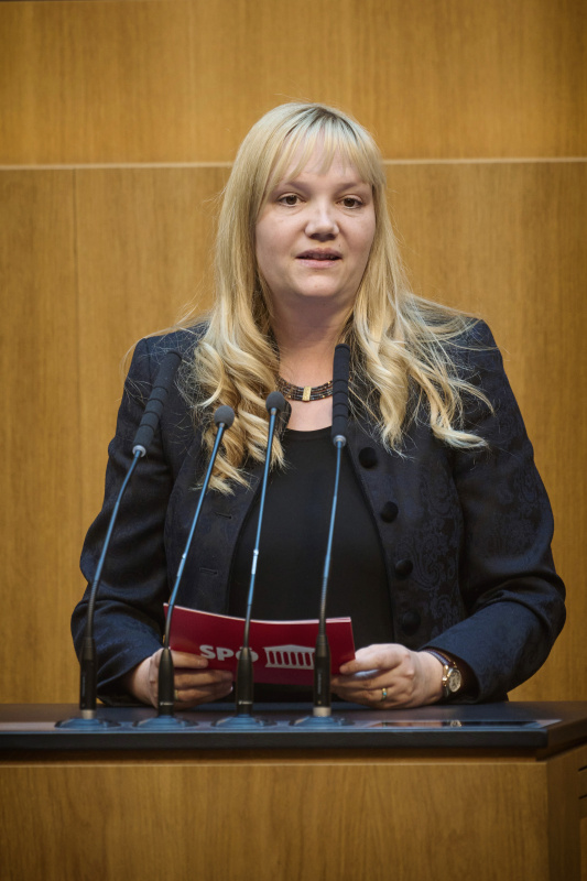 Am Redner:innenpult: Nationalratsabgeordnete Elisabeth Feichtinger (SPÖ)