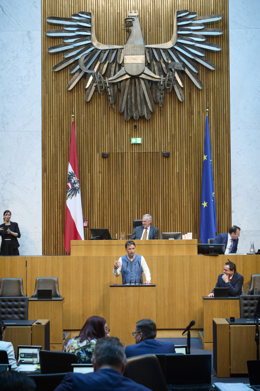 Am Redner:innenpult: Nationalratsabgeordneter Albert Royer (FPÖ)