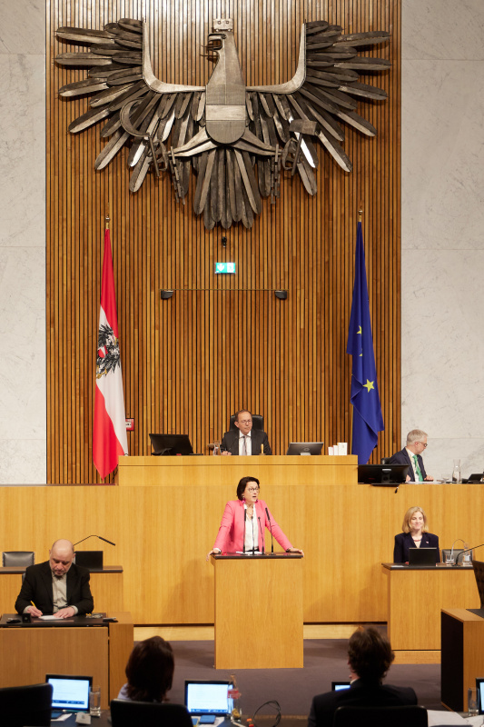 Am Redner:innenpult: Nationalratsabgeordnete Gudrun Kugler (ÖVP)