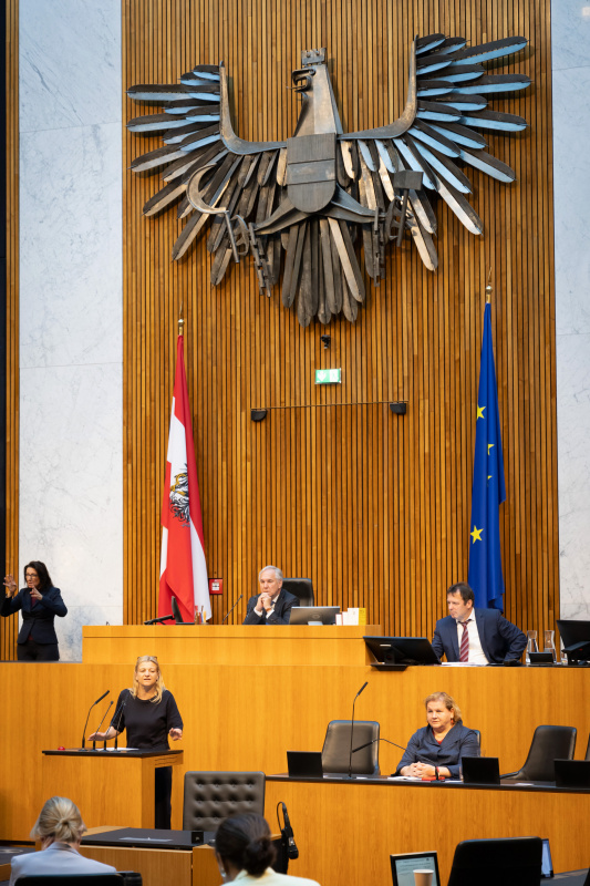 Am Redner:innenpult Nationalratsabgeordnete Barbara Teiber (SPÖ). Nationalratspräsident Walter Rosenkranz (FPÖ) am Präsidium. Auf der Regierungsbank Sozialministerin Korinna Schumann (SPÖ)