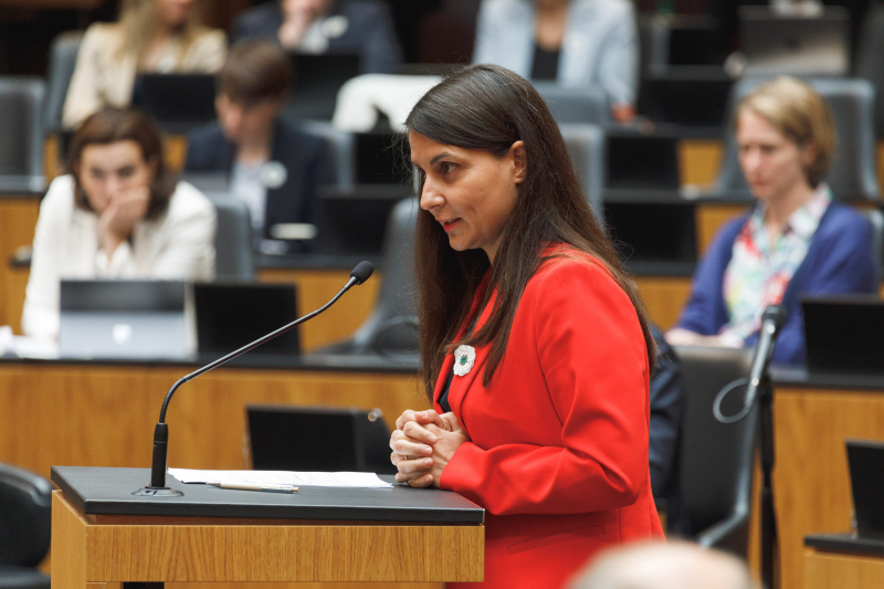 Fragestellung NR Abgeordnete Meri Disoski (Grüne)