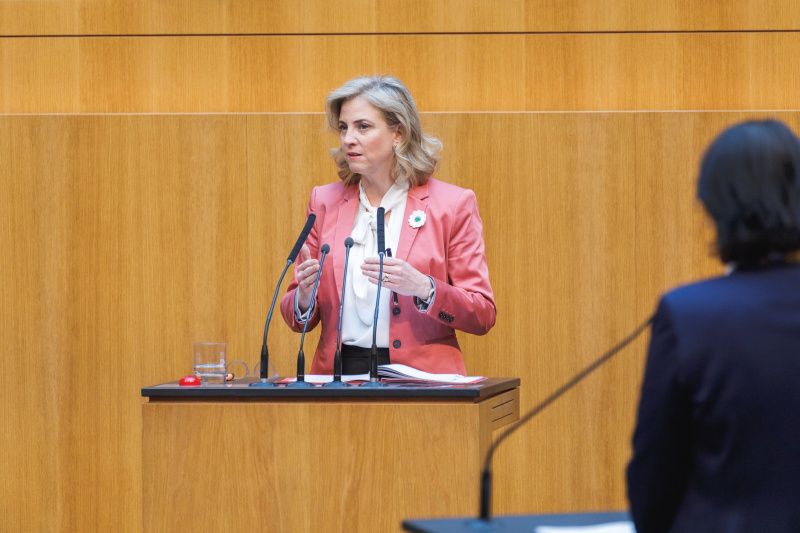 Außenministerin Beate Meinl-Reisinger.