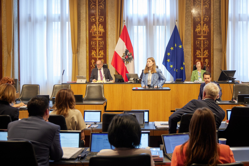 Am Redner:innenpult: Bundesrätin Amelie Muthsam (SPÖ)