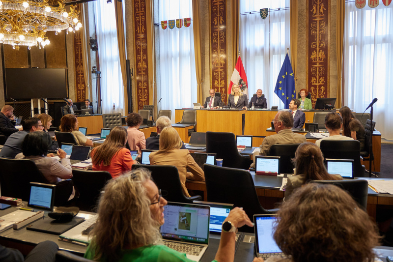 Am Redner:innenpult: Bundesrätin Isabella Theuermann (FPÖ)