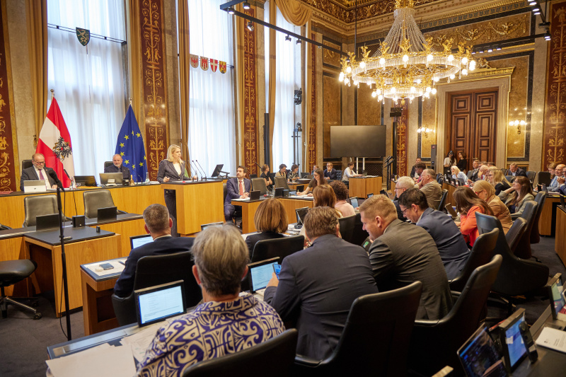 Am Redner:innenpult: Bundesrätin Isabella Theuermann (FPÖ)