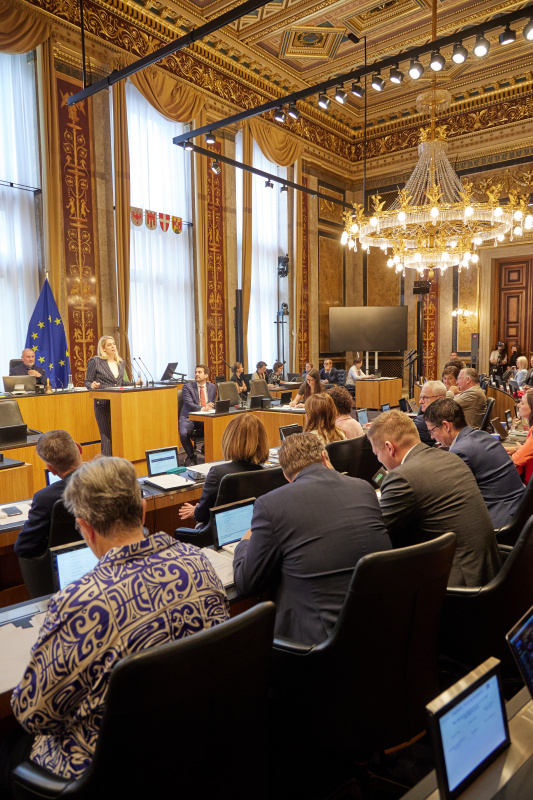 Am Redner:innenpult: Bundesrätin Isabella Theuermann (FPÖ)