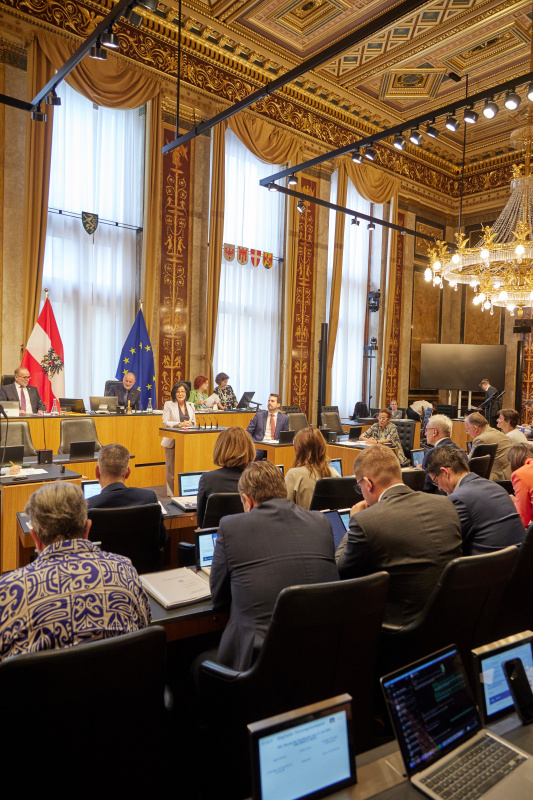 Am Redner:innenpult: Bundesrätin Margit Göll (ÖVP)