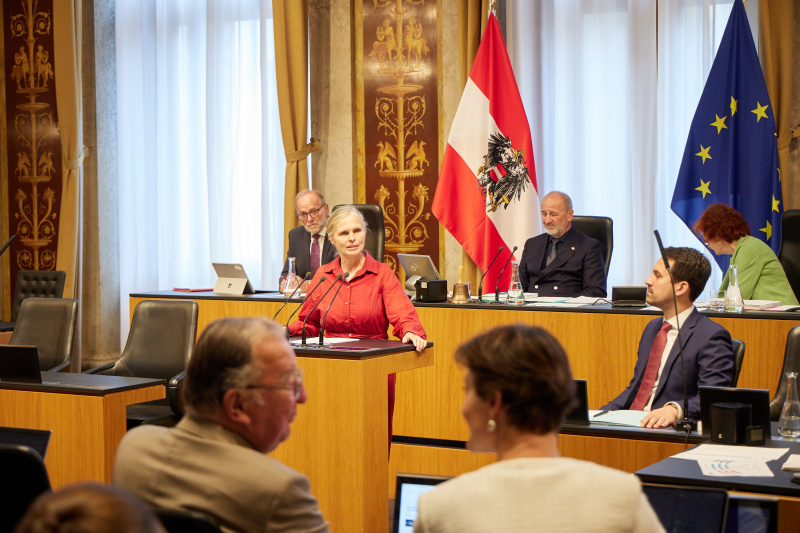 Am Redner:innenpult: Bundesrätin Daniela Gruber-Pruner (SPÖ)