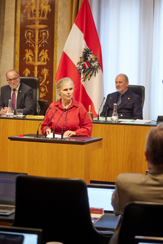 Am Redner:innenpult: Bundesrätin Daniela Gruber-Pruner (SPÖ)