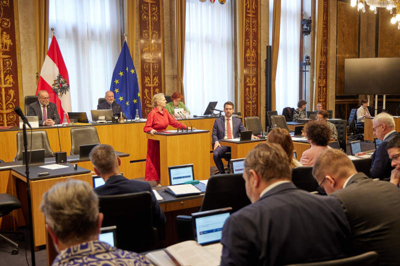 Am Redner:innenpult: Bundesrätin Daniela Gruber-Pruner (SPÖ)