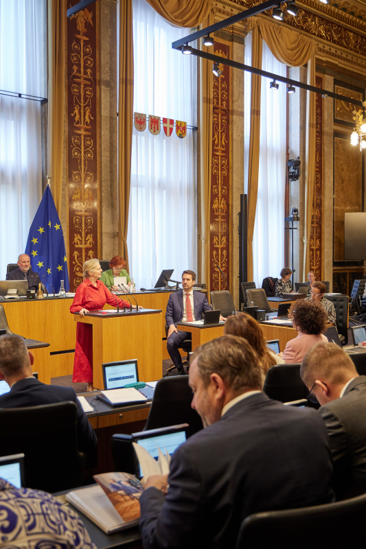 Am Redner:innenpult: Bundesrätin Daniela Gruber-Pruner (SPÖ)