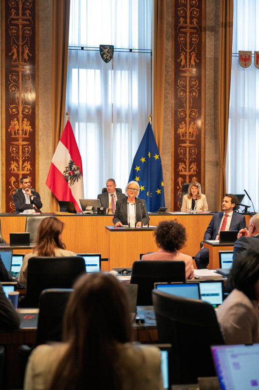 Bundesrätin Irene Partl (FPÖ) am Redner:innenpult