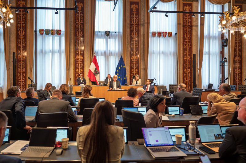 Bundesrätin Irene Partl (FPÖ) am Redner:innenpult