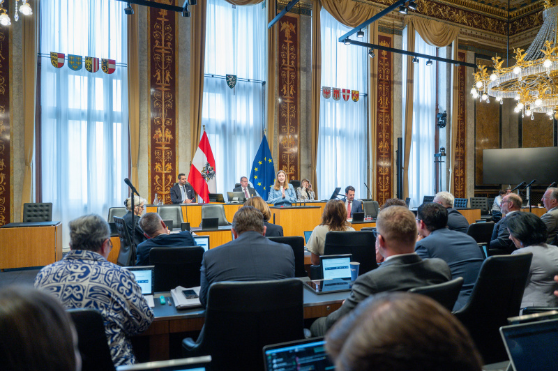 Am Redner:innenpult Amelie Muthsam (SPÖ)