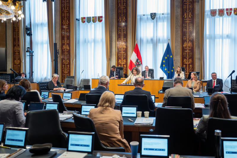 Bundesrätin  Elisabeth Kittl (Grüne) am Redner:innenpult