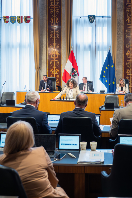 Bundesrätin  Elisabeth Kittl (Grüne) am Redner:innenpult