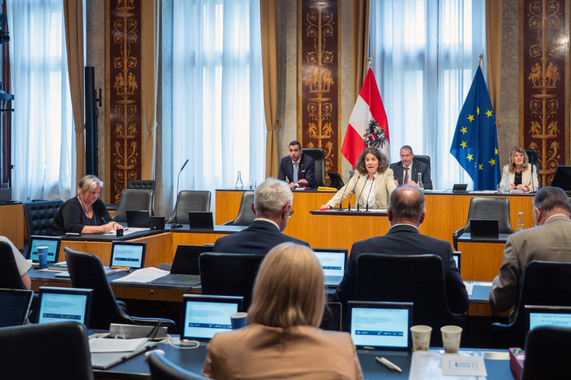 Bundesrätin  Elisabeth Kittl (Grüne) am Redner:innenpult