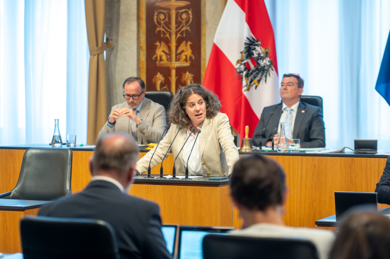 Bundesrätin Elisabeth Kittl (Grüne) am Redner:innenpult